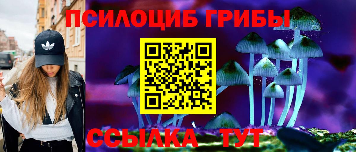 Галлюциногенные грибы Psilocybe  Вход с VPN  Нововоронеж 